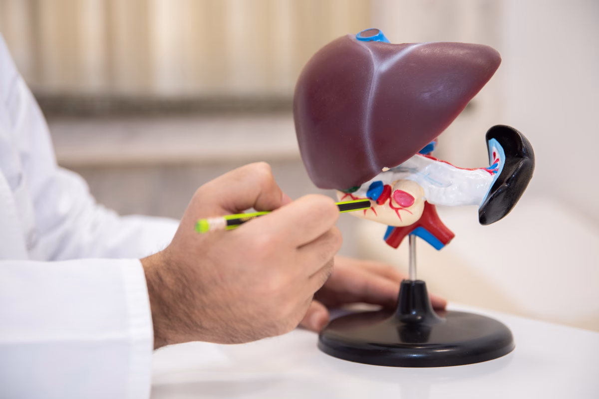 Hepato CHECK-UP maxi Гепато ЧЕК-АП макси Հեպատո ՉԵՔ-ԱՓ մաքսի